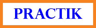 PRACTIK