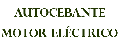autocebante motor eléctrico